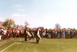 opening veld.jpg