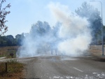 DSCN5422.jpg