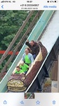 IMG_8257.jpg