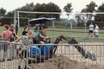 image00034 (Klein).jpg